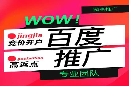案例分析：百度竞价托管助力行业龙头